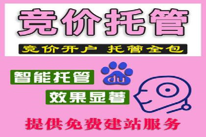 搜索引擎营销（SEM）推广策略案例分享